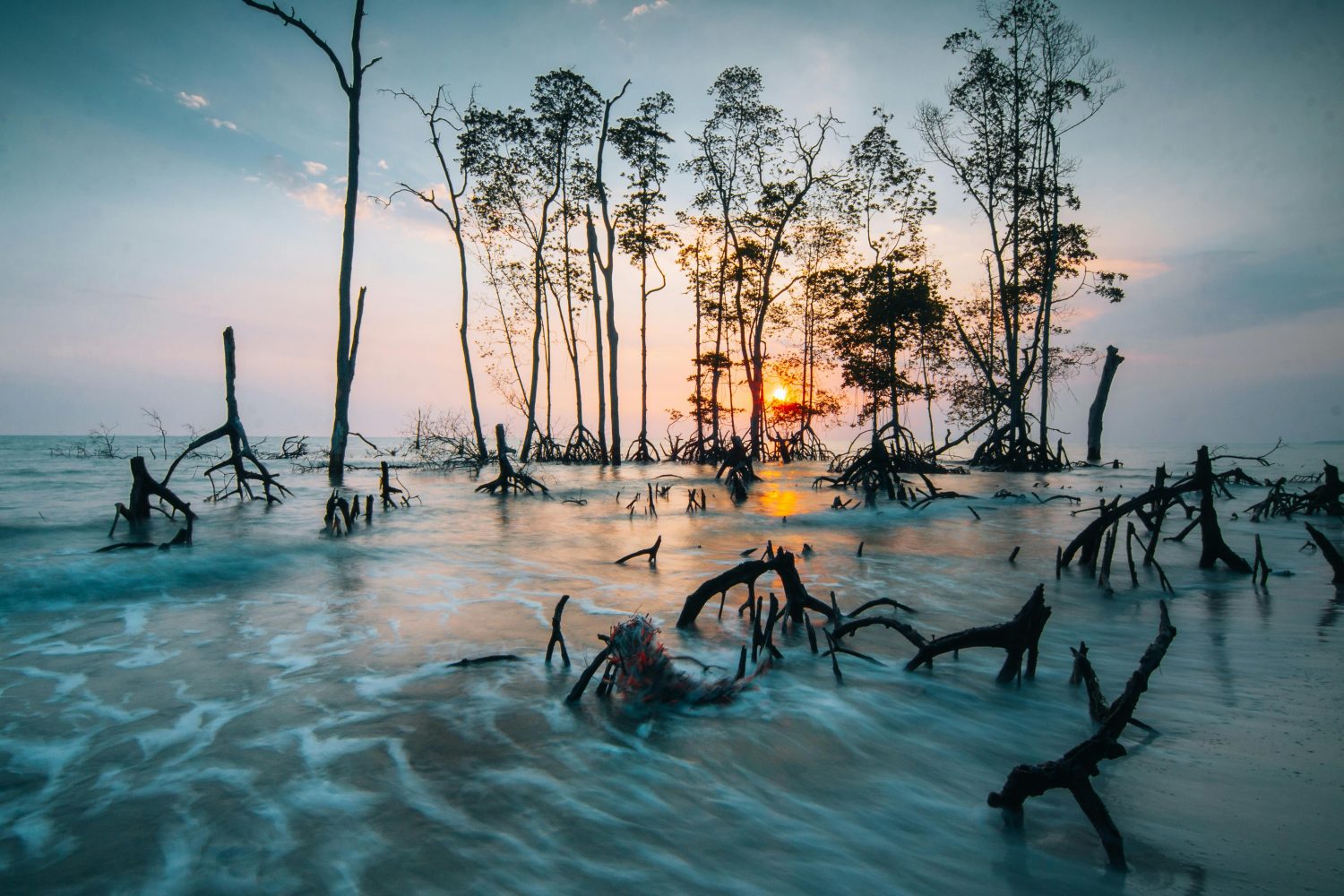Boao Mangrove Boardwalk