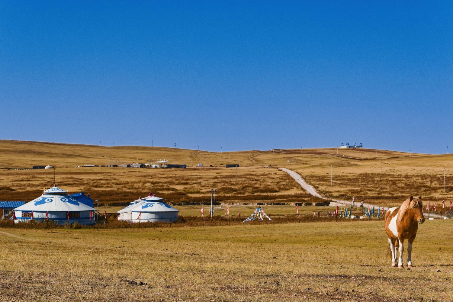 Inner Mongolia Grassland Yurts
