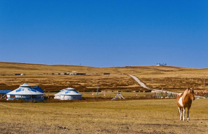 Inner Mongolia Grassland Yurts