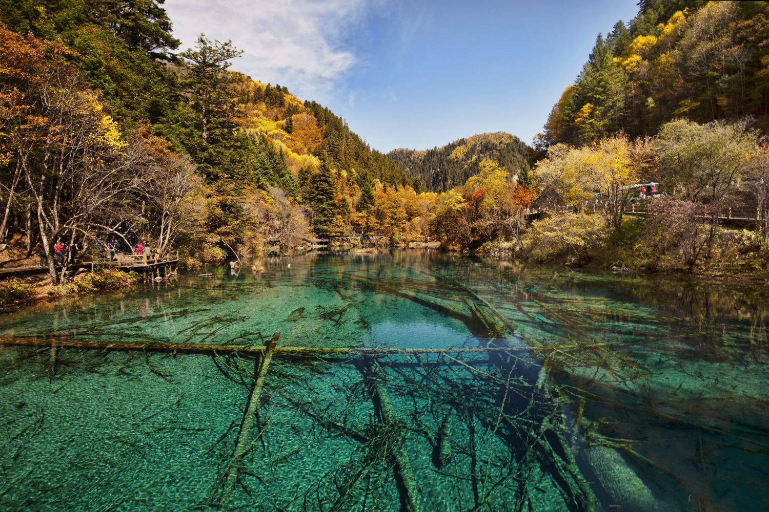 Five Flower Lake, Jiuzhaigou