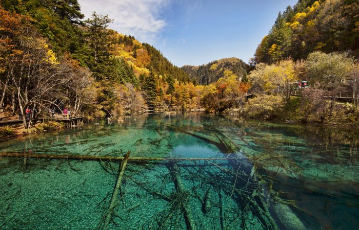 Five Flower Lake, Jiuzhaigou