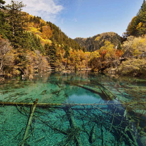 Jiuzhaigou · Alpine Lakes & Tibetan Heritage – 5 Days 4 Nights