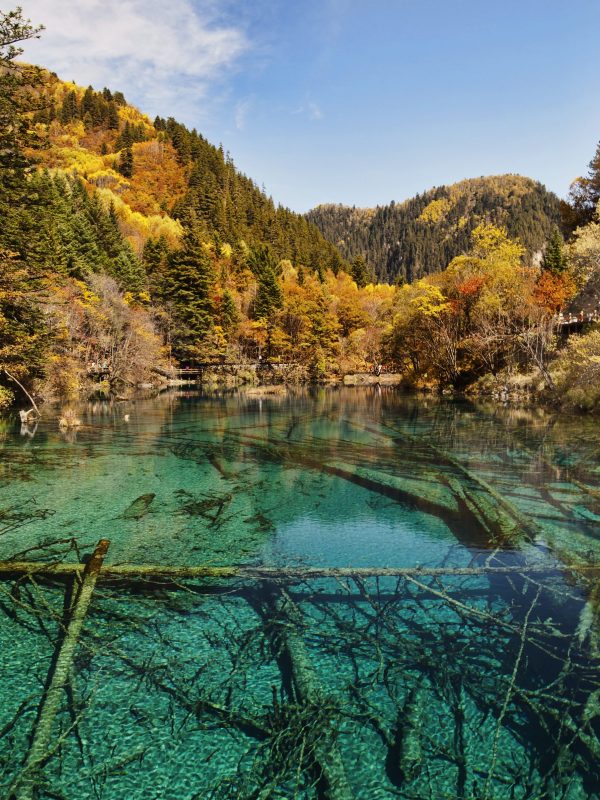 Jiuzhaigou · Alpine Lakes & Tibetan Heritage – 5 Days 4 Nights
