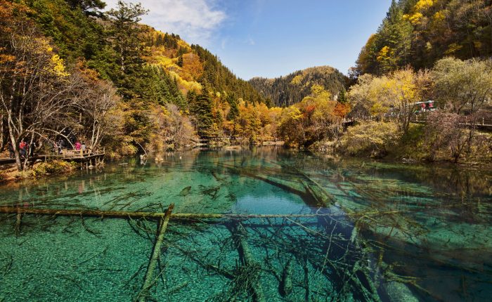 Jiuzhaigou · Alpine Lakes & Tibetan Heritage – 5 Days 4 Nights