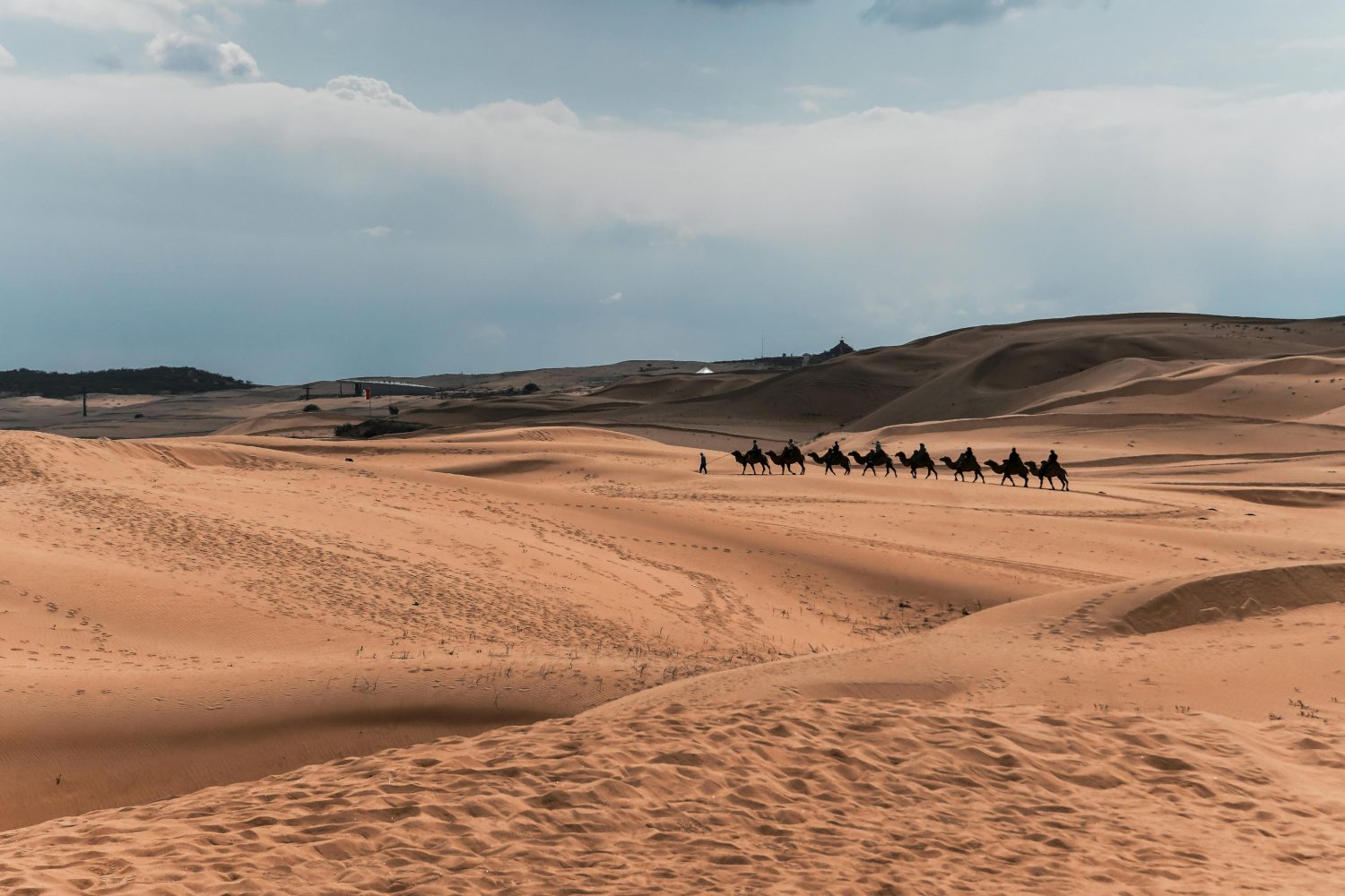 Kubuqi Desert Camel Ride