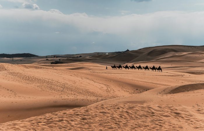 Kubuqi Desert Camel Ride