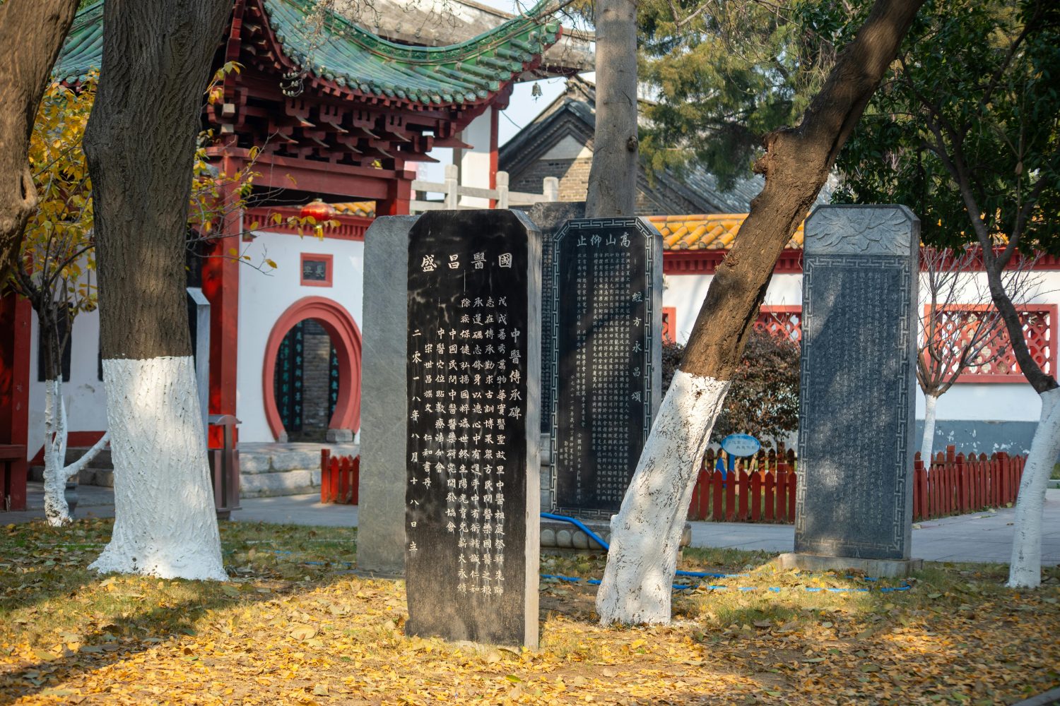 Ancient Lingtai, Lingtai County