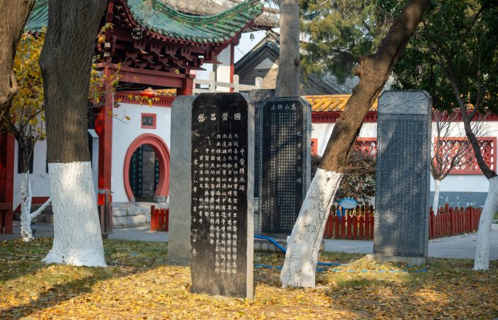 Ancient Lingtai, Lingtai County