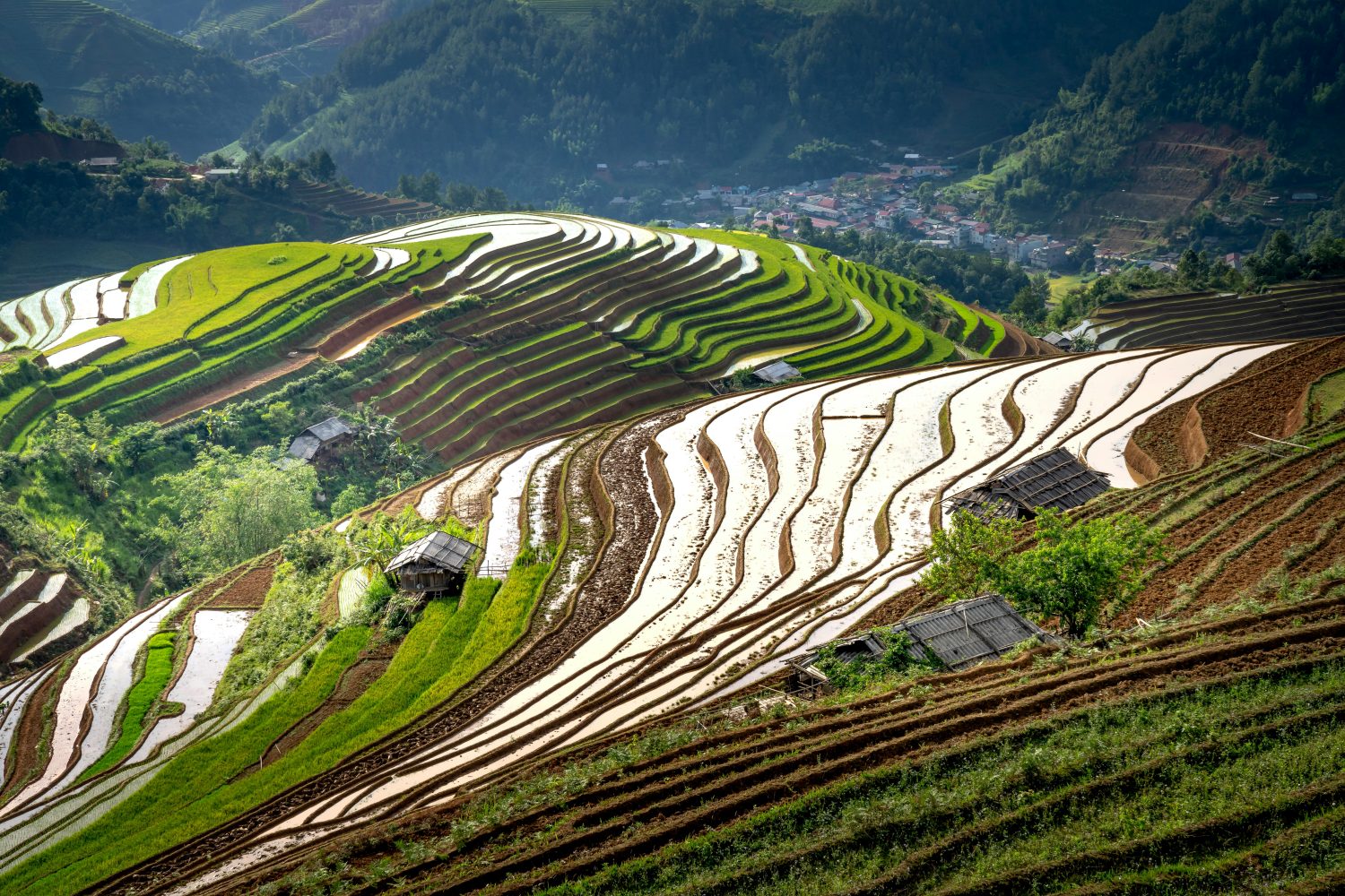 Longji Rice Terraces