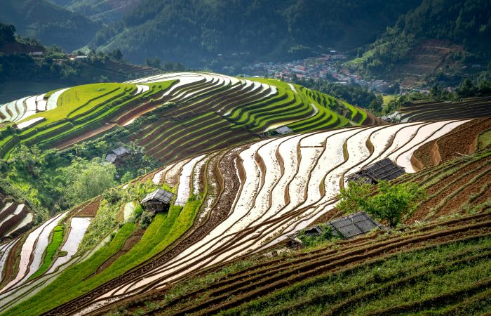 Longji Rice Terraces
