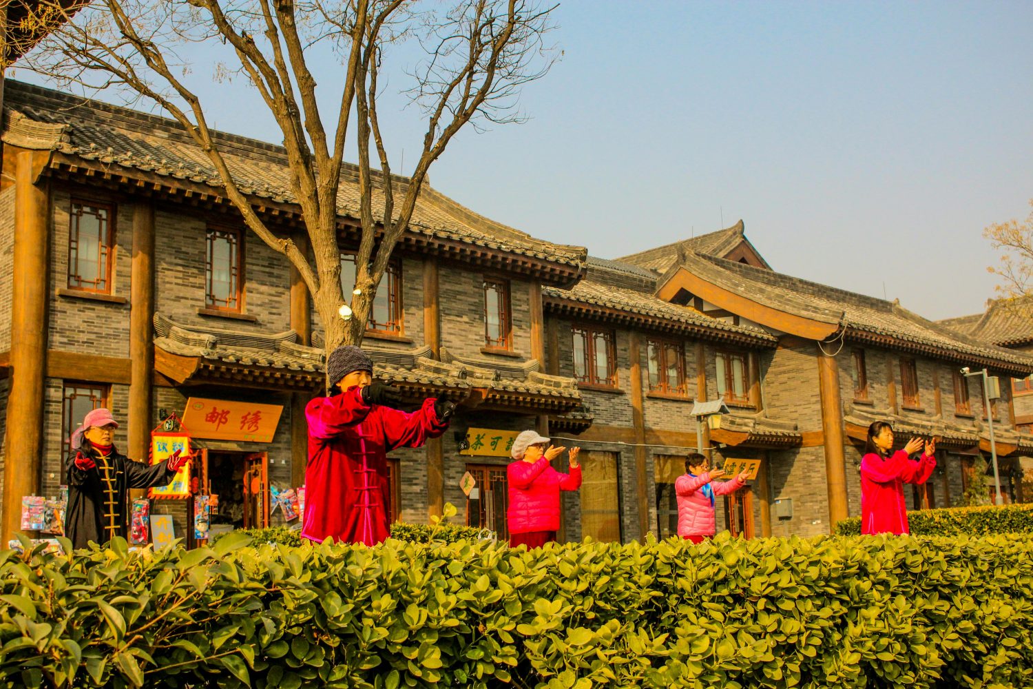 Daoist Tai Chi Practice