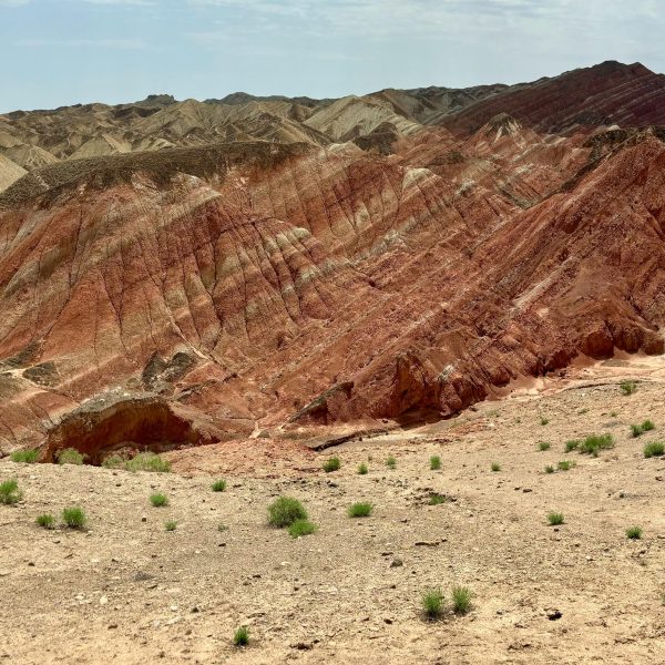 Qinghai & Gansu · Salt Lakes & Silk Road Traces – 8 Days 7 Nights