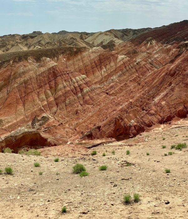 Qinghai & Gansu · Salt Lakes & Silk Road Traces – 8 Days 7 Nights