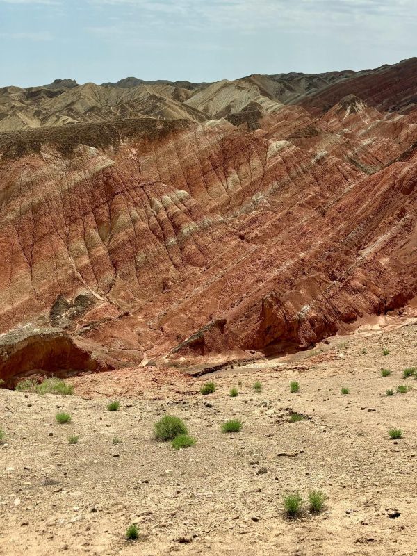 Qinghai & Gansu · Salt Lakes & Silk Road Traces – 8 Days 7 Nights