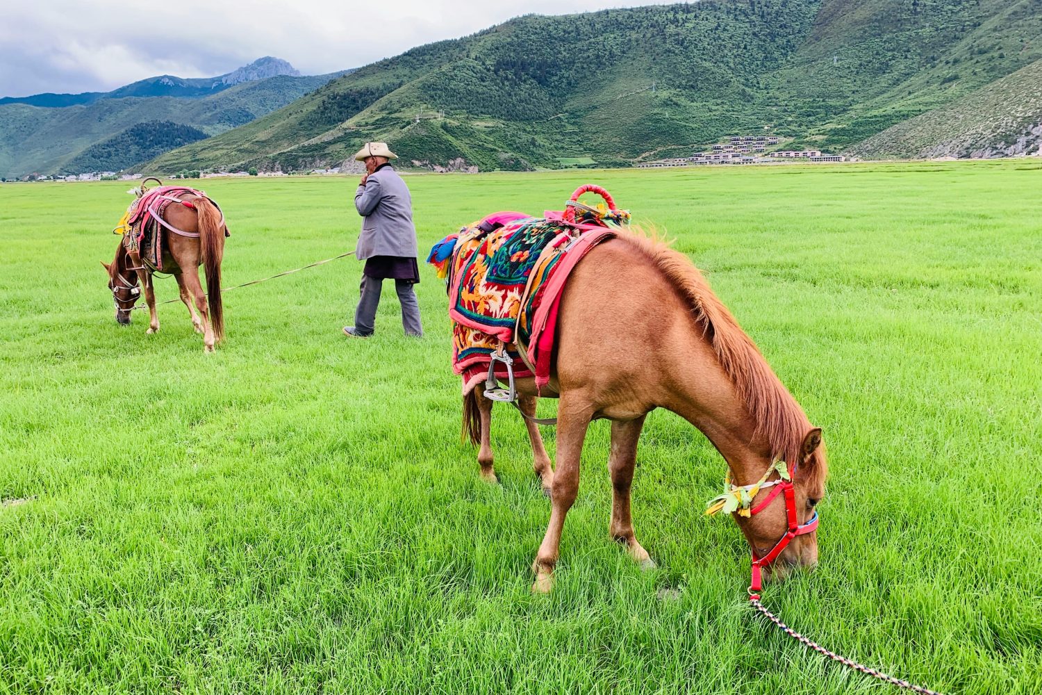 Tea Horse Road Museum, Shuhe