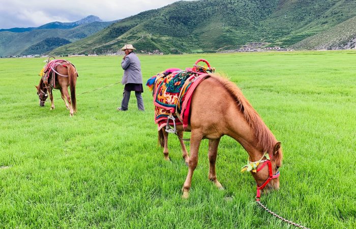 Tea Horse Road Museum, Shuhe