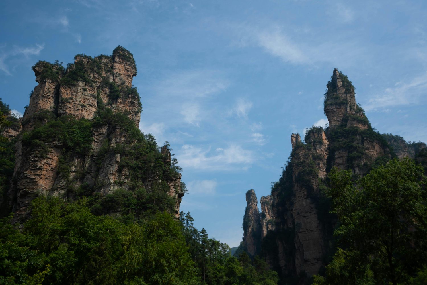 Imperial Brush Peaks, Tianzi Mountain
