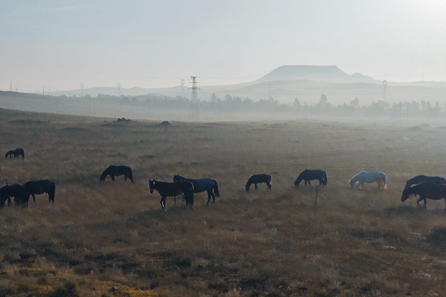 Wulanhada Steppe at Dawn