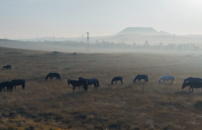 Wulanhada Steppe at Dawn