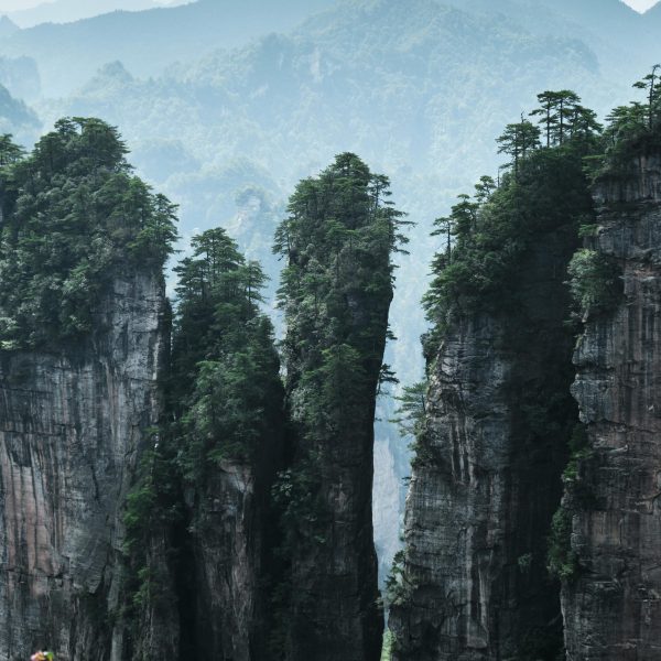Zhangjiajie · Avatar Mountains & Tujia Heritage – 3 Days 2 Nights